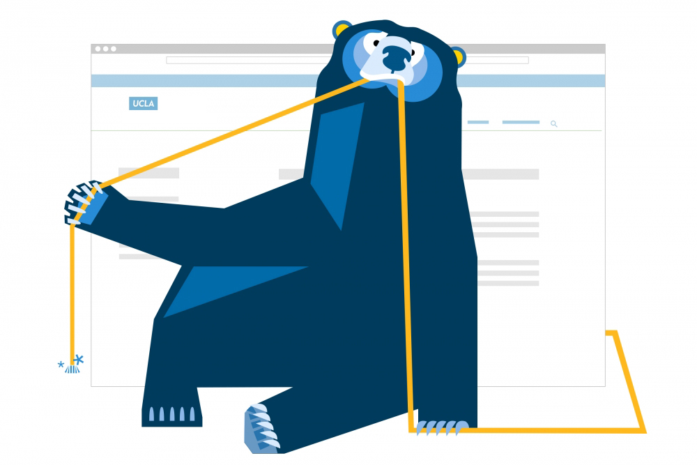 bear with 404 message